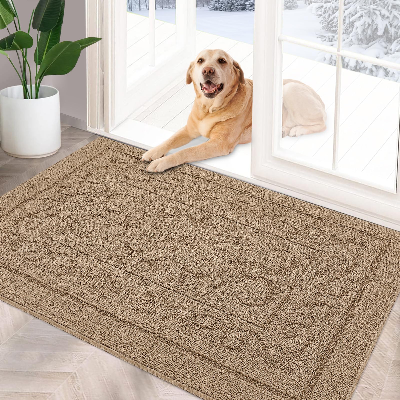 Foneyi Indoor Doormat, Front Back Door Mat 24'X36' Washable, Rubber Backing Non Slip Door Mats, Low-Profile Absorbent Entrance